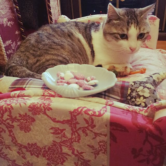 emmyyさんの実例写真