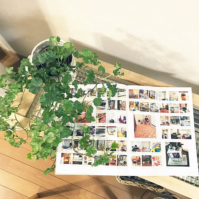toshiさんの実例写真