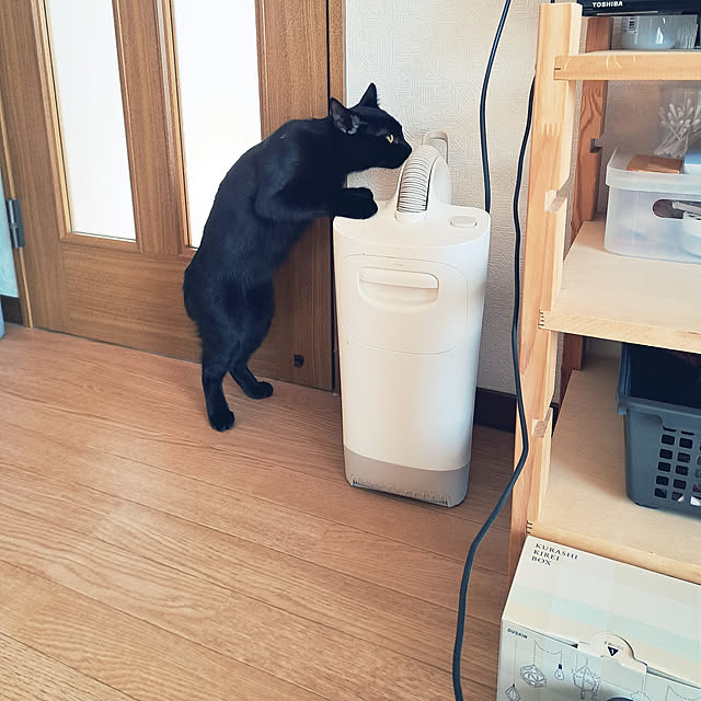 yunkさんの実例写真