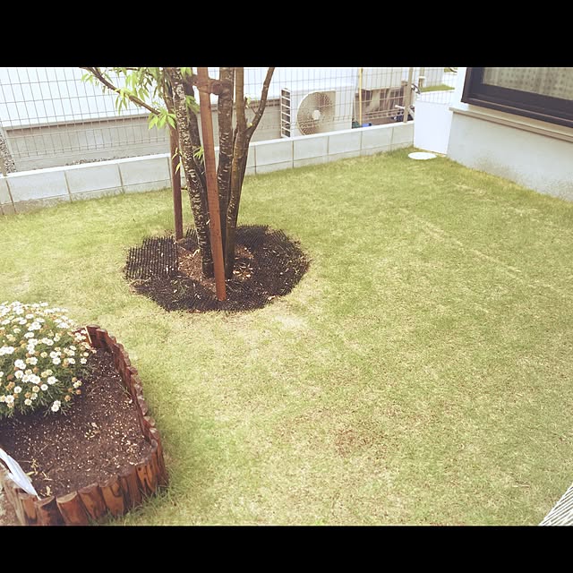 etsurio.ryuさんの実例写真