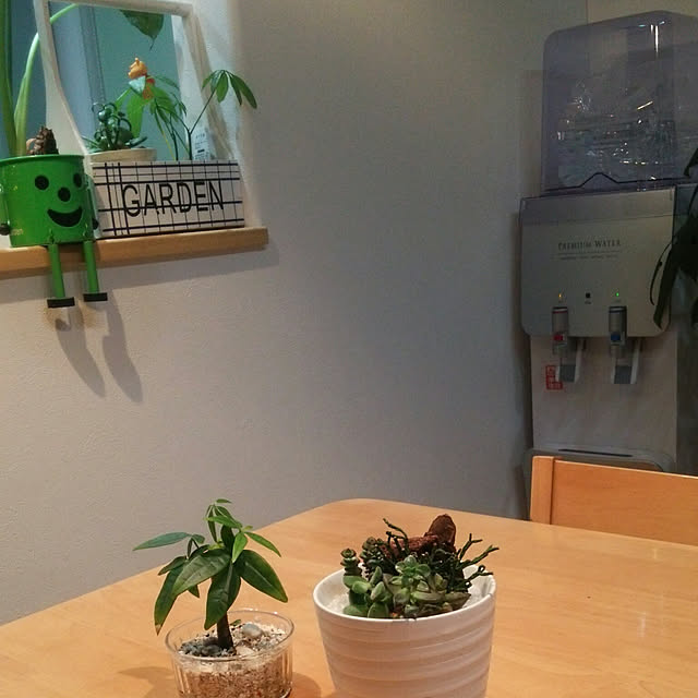 icchiさんの実例写真
