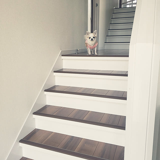 Candyさんの実例写真