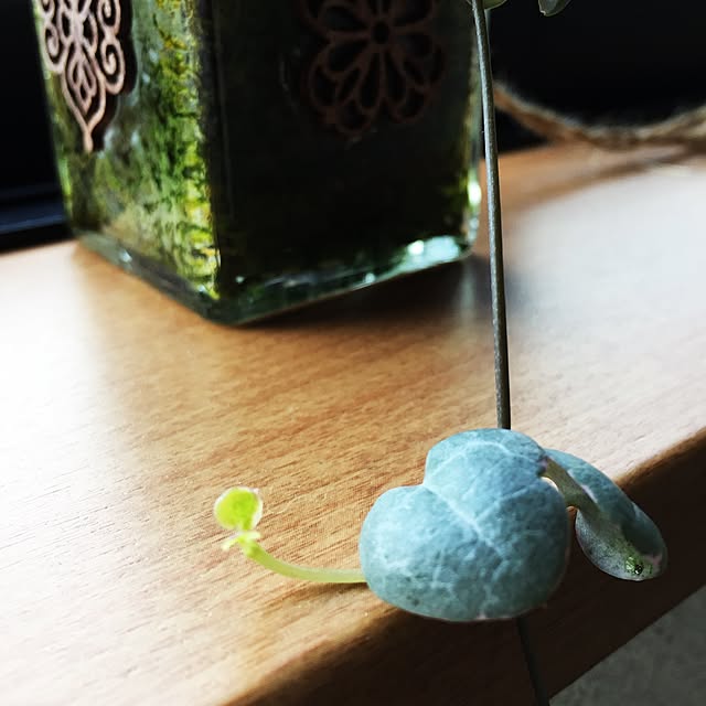 CoffeeHouseさんの実例写真