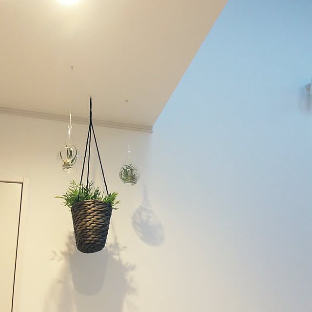runayucoさんの実例写真