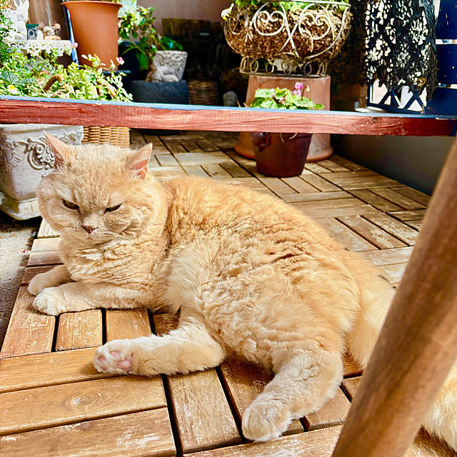 naokoさんの部屋