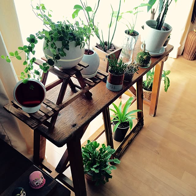 interior_yuさんの実例写真