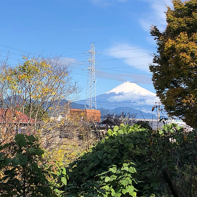 aKariさんの実例写真