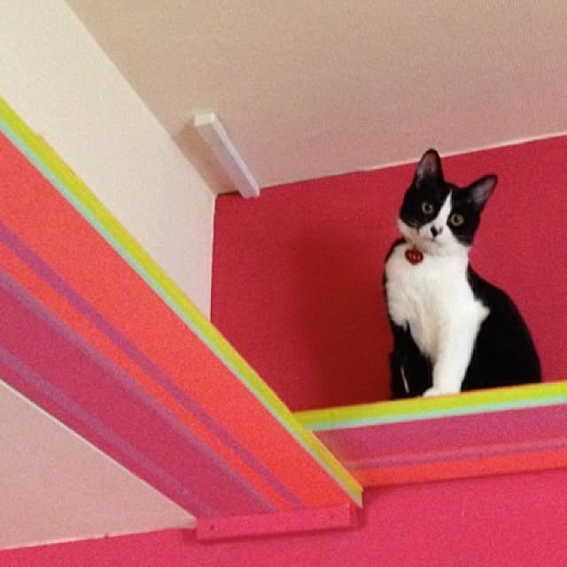 kimishigureさんの実例写真