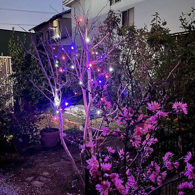 kappaさんの実例写真