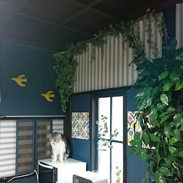 mademoisellenoaさんの実例写真