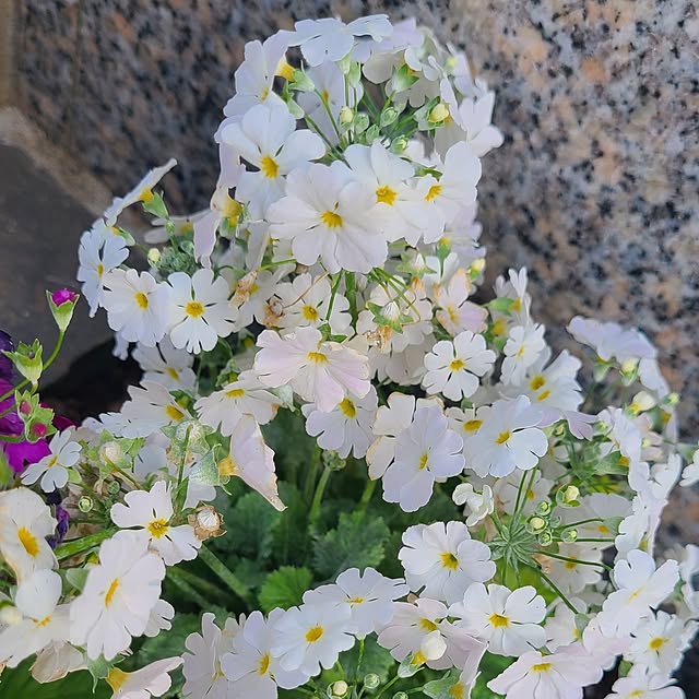 yumi.grandsaisonさんの部屋