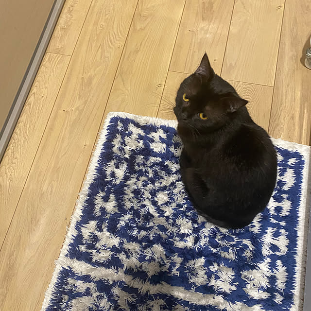 okapiさんの部屋