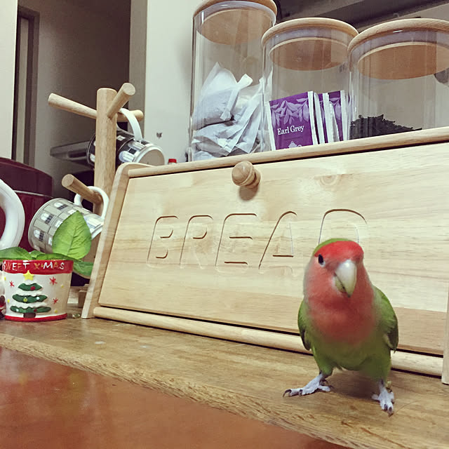 toratanさんの実例写真