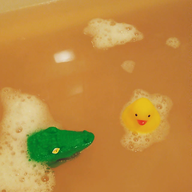 waniwaniさんの実例写真