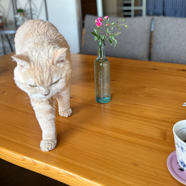 naokoさんの部屋