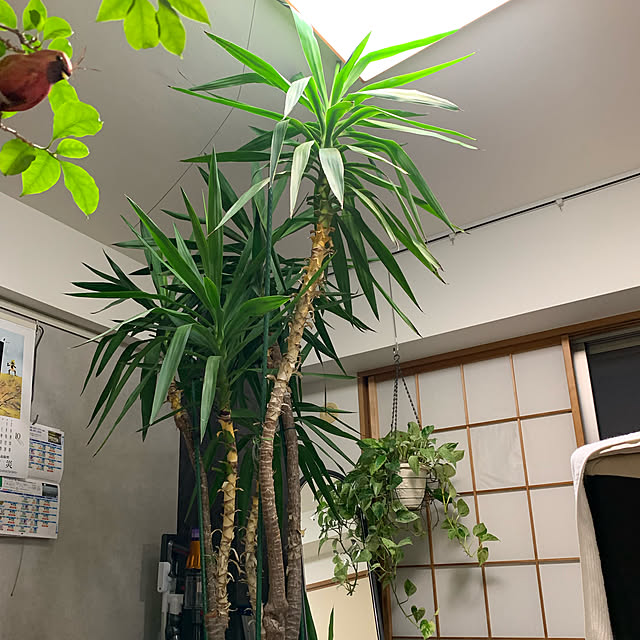 Aqettyさんの実例写真