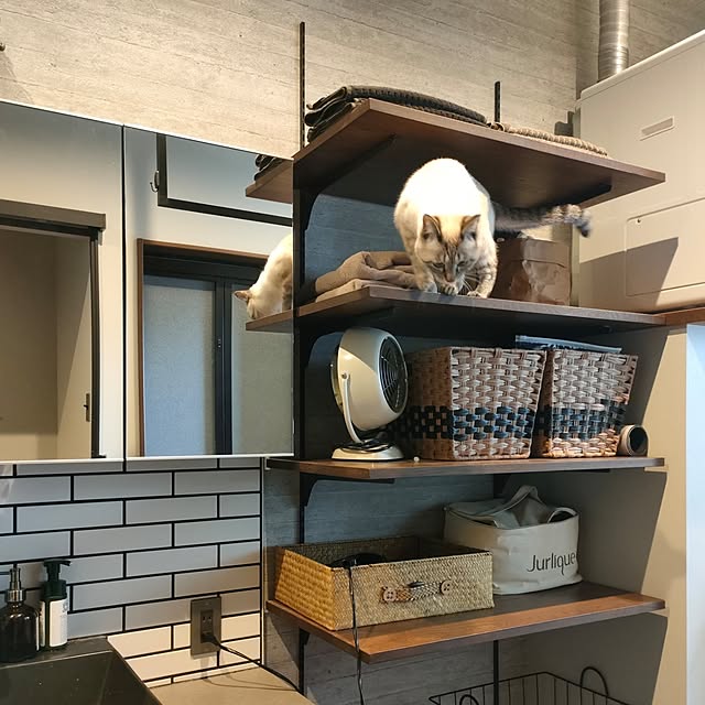 Atelier_tamakiさんの部屋