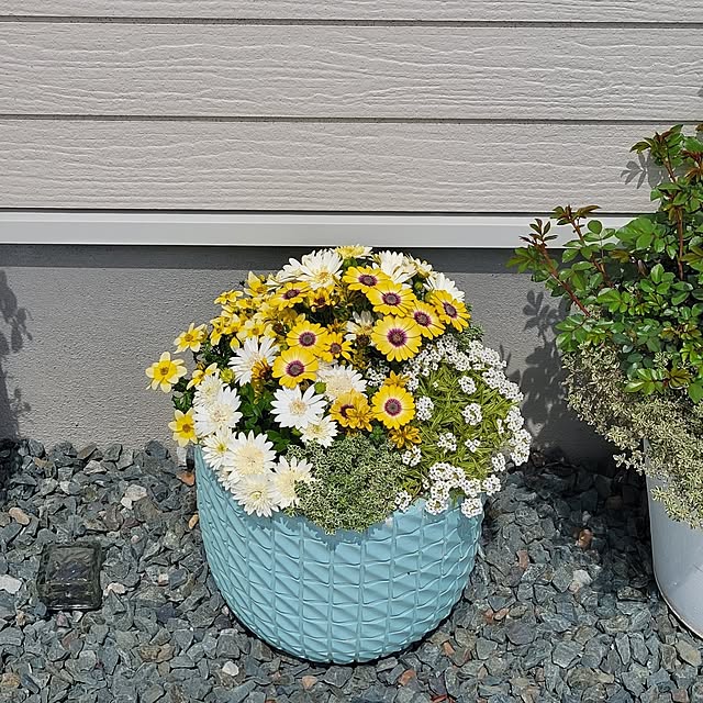 nonbiri_house_さんの実例写真