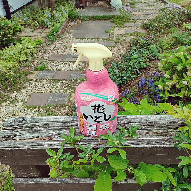 ai.happyplaceさんの実例写真