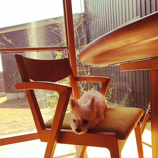 bonさんの実例写真