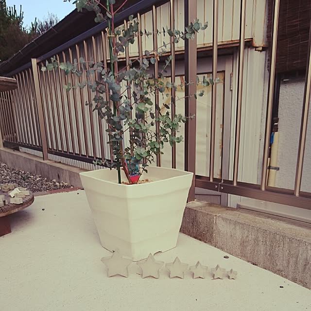 fam.genki.eriさんの実例写真