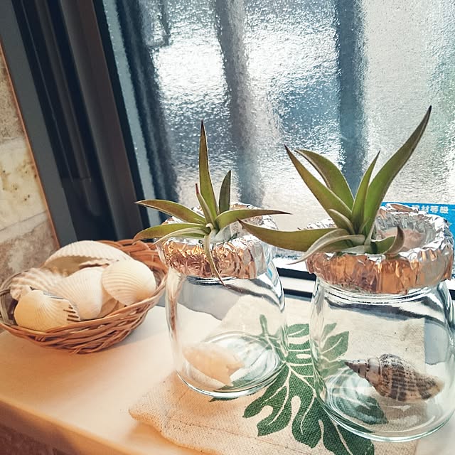 kurikoさんの実例写真