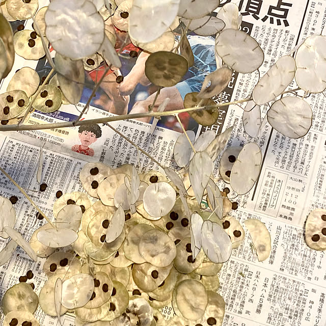 kojirotanさんの実例写真