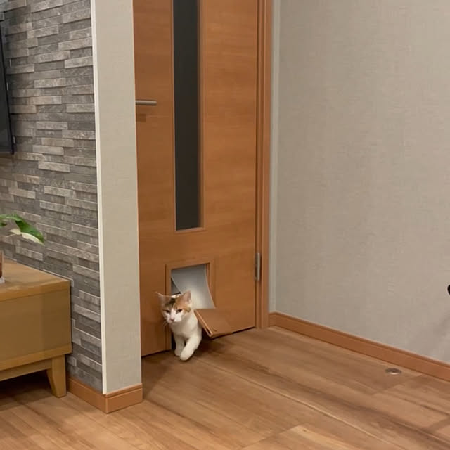 ikuzakさんの部屋