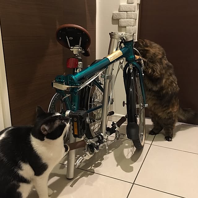 mikomaruさんの実例写真