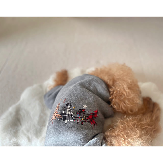 rookuさんの部屋