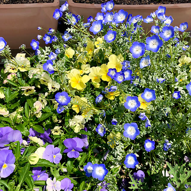 tomoさんの実例写真