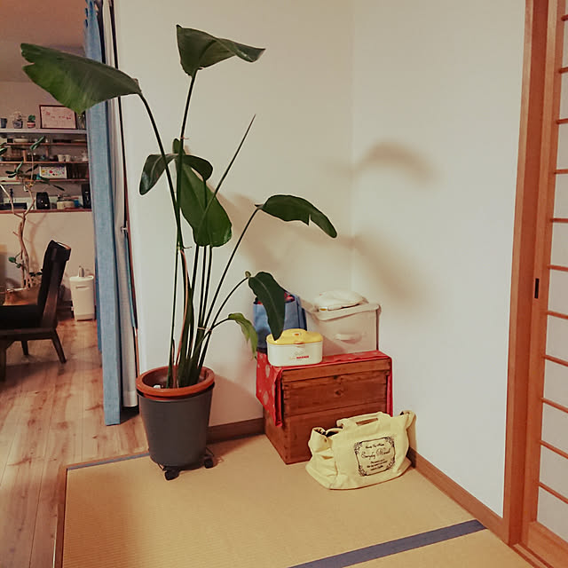 kotaroさんの実例写真