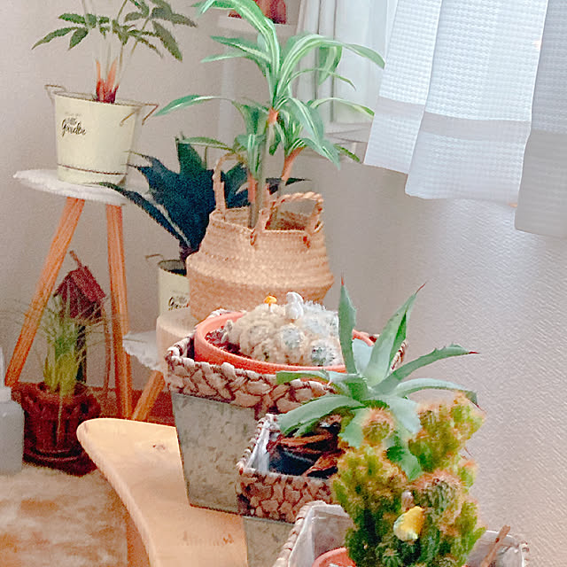 Hanakaさんの部屋