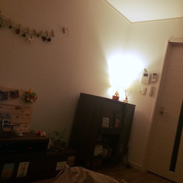 部屋全体/一人暮らし/100均/雑貨/照明のインテリア実例 - 2016-05-07 22:24:50