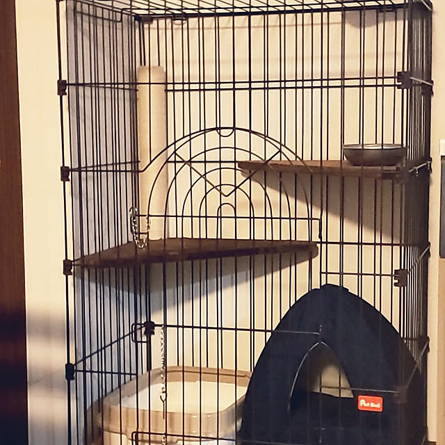 maple.0927さんの実例写真