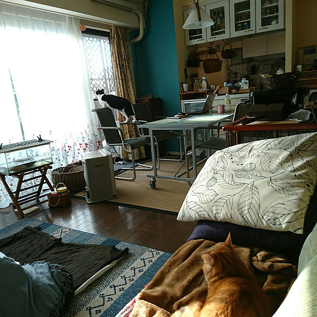 okyosan101さんの実例写真