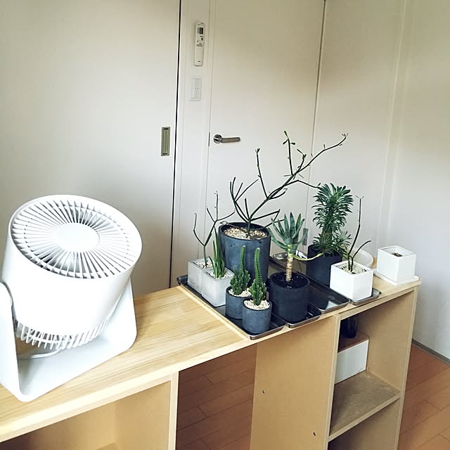 Naokiさんの実例写真