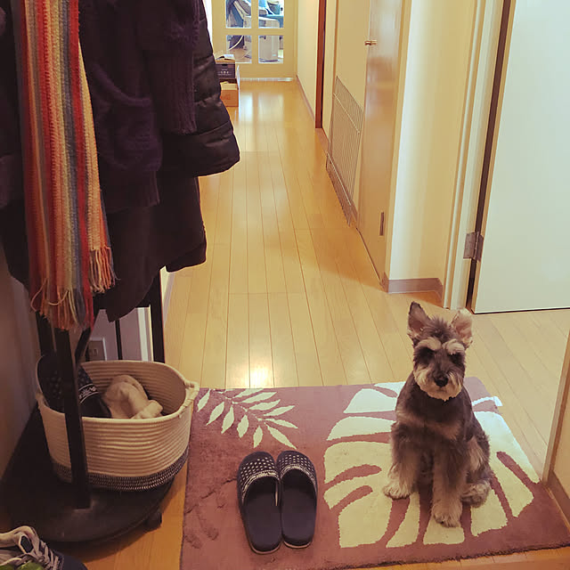 Chiharuさんの実例写真