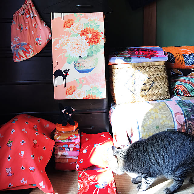 neko-2.2.2runmuさんの実例写真