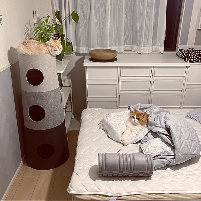 H.Tさんの実例写真