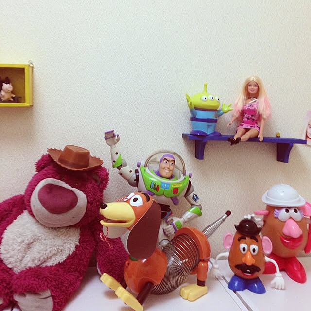 SaRa_Toyさんの実例写真