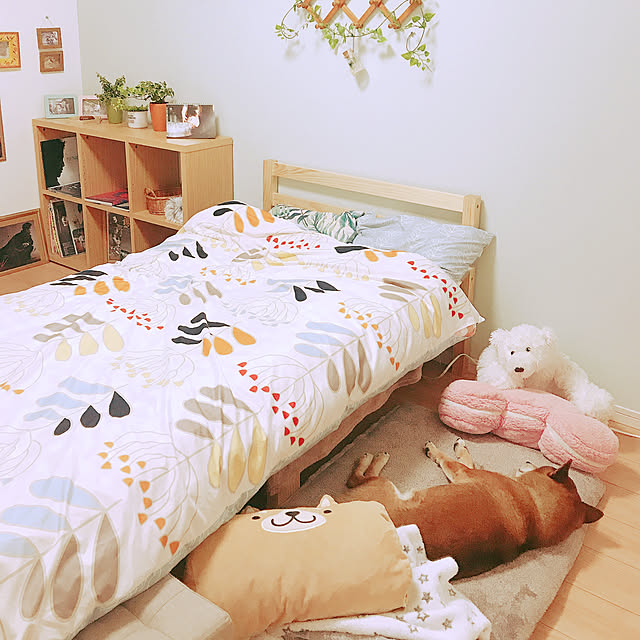 Soraさんの実例写真