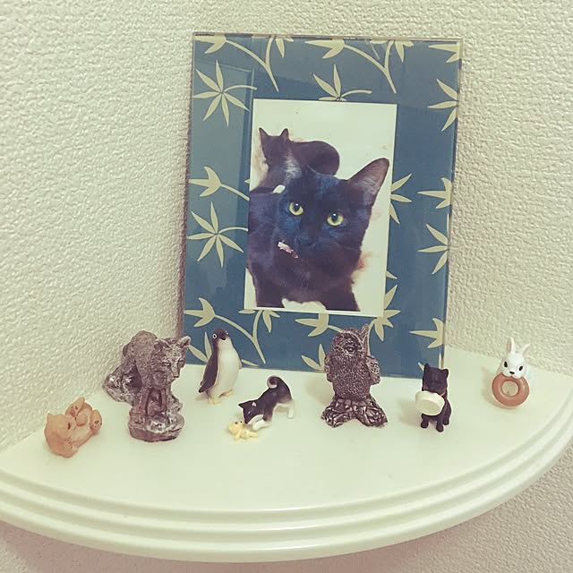 Jujugondoさんの実例写真