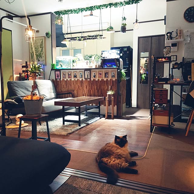 部屋全体/照明/IKEA/ライト/間接照明...などのインテリア実例 - 2024-04-28 21:03:25
