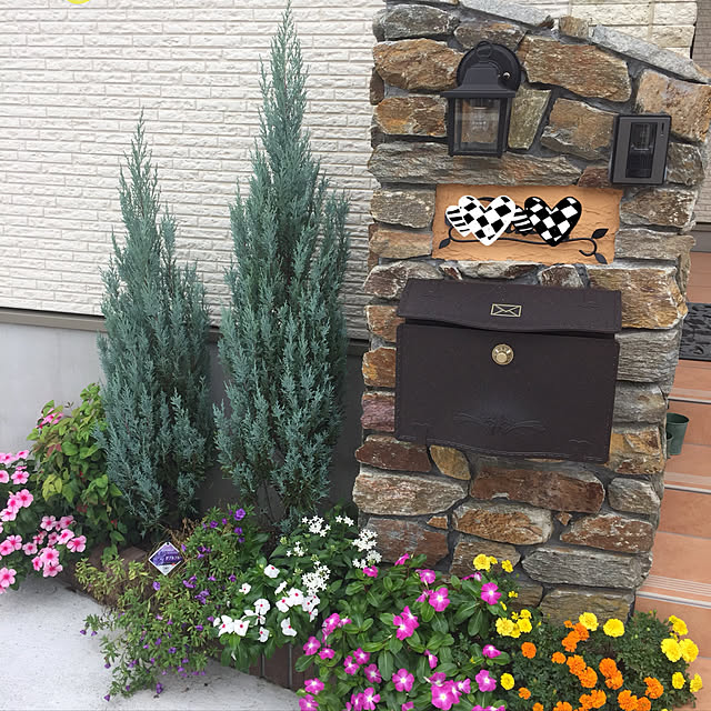 shibakoさんの実例写真