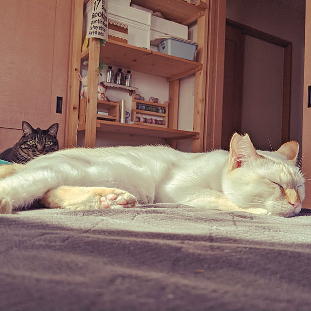 jacky-m-さんの実例写真