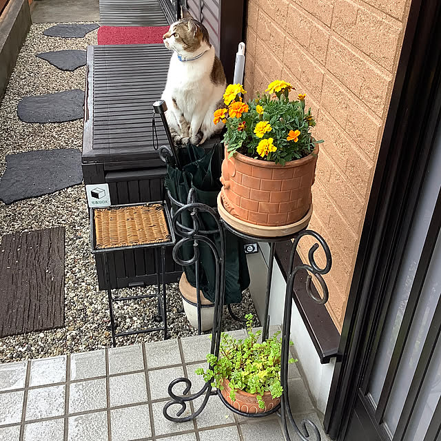 haruminさんの実例写真