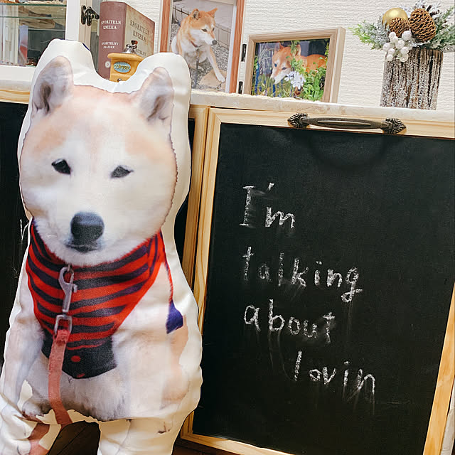 harukaさんの実例写真