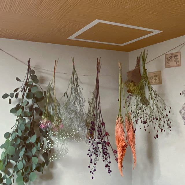 moainanoさんの部屋