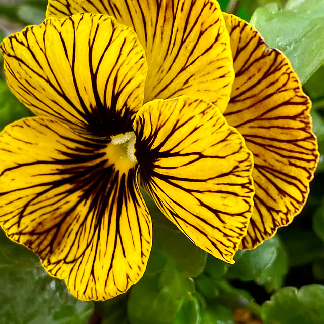 YuuKoさんの部屋